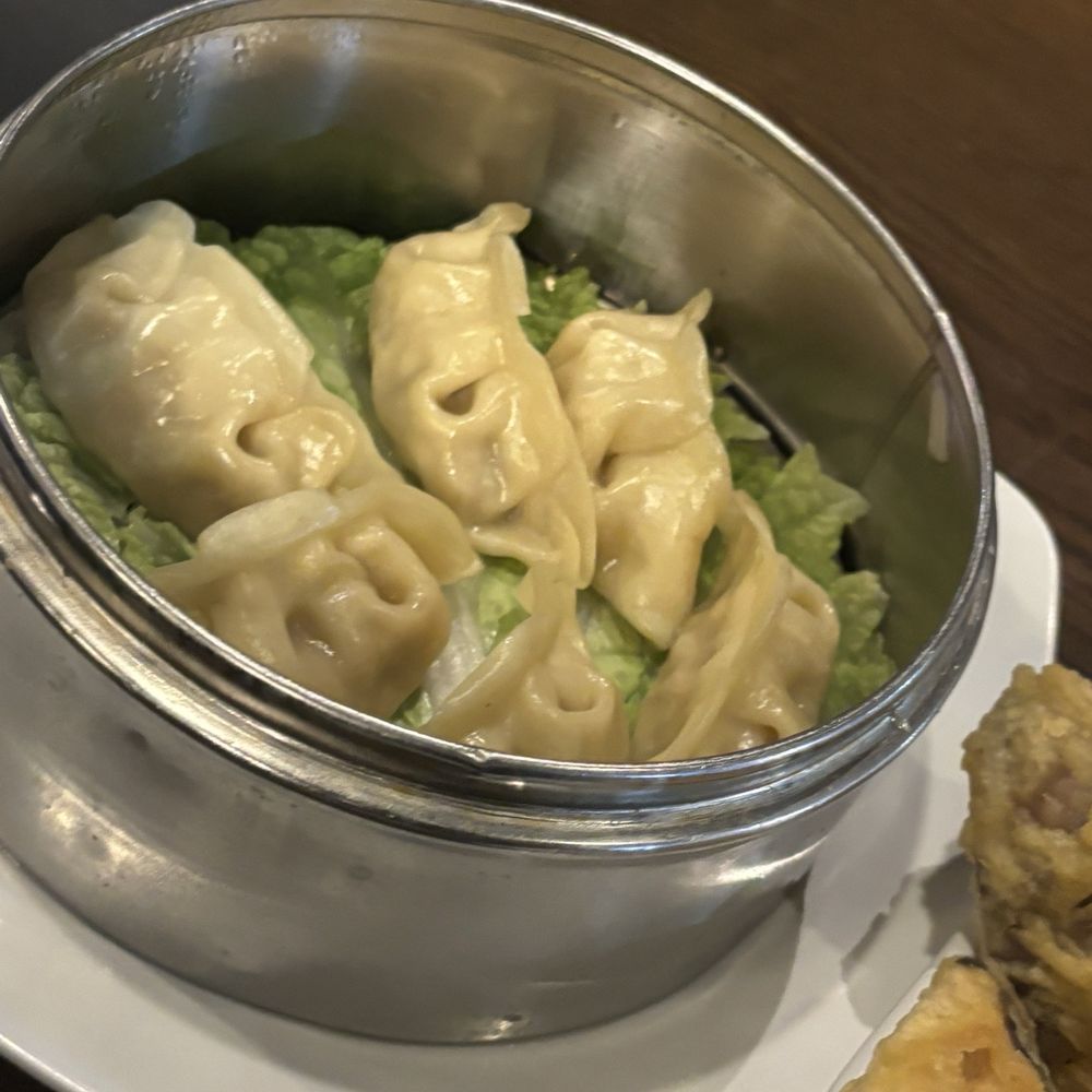 Veggie Fun - A7. Vegetable Dumplings - Vegan Near Me - Providence, Rhode Island Veggie Fun - A7. Vegetable Dumplings - Vegan Near Me - Providence, Rhode Island