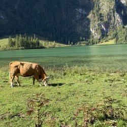 Obersee