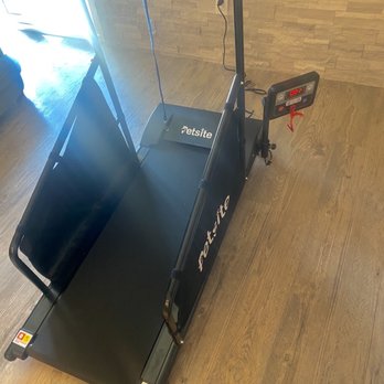 A Plus Assemblers - Dog treadmill - Furniture Assembly Near Me