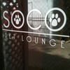 SOCO Pet Lounge gift card