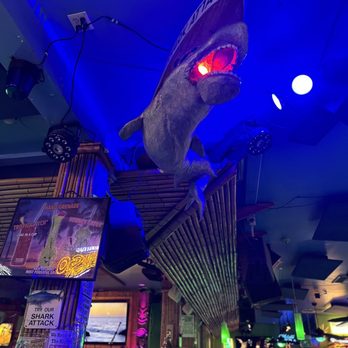 Tropical Isle Original - Bars Near Me - New Orleans, Louisiana Tropical Isle Original - Bars Near Me - New Orleans, Louisiana