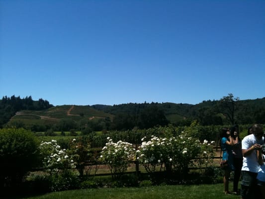 Dutcher Crossing Winery by null