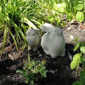 DS Garden Shop - Garden rabbits - Home Decor Near Me - Ramona, California