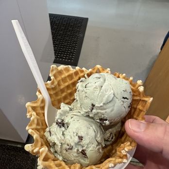 Jeni's Splendid Ice Creams - Mint chip - Ice Cream & Frozen Yogurt Near Me - Pittsburgh, Pennsylvania Jeni's Splendid Ice Creams - Mint chip - Ice Cream & Frozen Yogurt Near Me - Pittsburgh, Pennsylvania