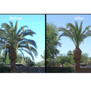 Andre Tree Services - Tree Services Near Me Andre Tree Services - Tree Services Near Me