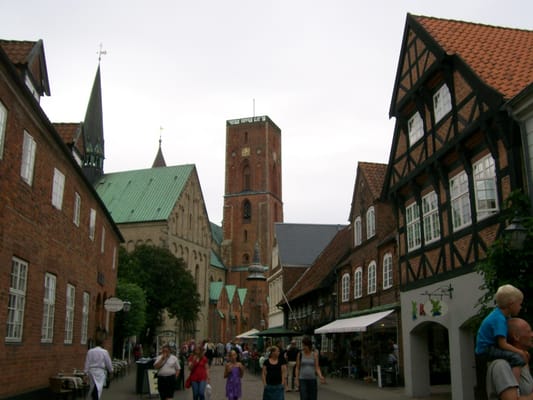 Ribe Cathedral by null