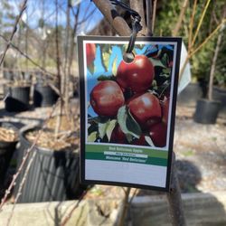 Fannin Farm & Garden