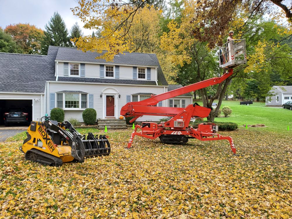 Woodland TreeWorks - tree service in Orange, CT