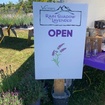Rain Shadow Lavender Farm - Attraction Farms Near Me - Sequim, Washington Rain Shadow Lavender Farm - Attraction Farms Near Me - Sequim, Washington