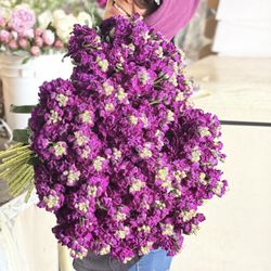 Fabulous Florals - Our employee Maria showing bunches of locally grown Stock