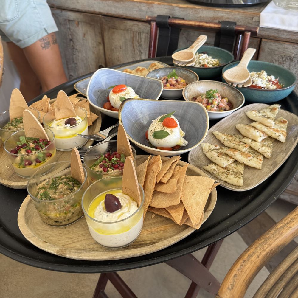 Restaurant Shellona Beach - Apps - Greek Near Me - Pismo Beach, California
