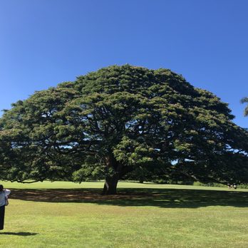 Moanalua Gardens - Parks Near Me - Honolulu, Hawaii Moanalua Gardens - Parks Near Me - Honolulu, Hawaii
