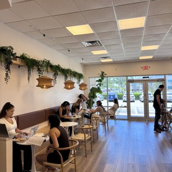 Swell Coffee - Cafes Near Me - Largo, Florida