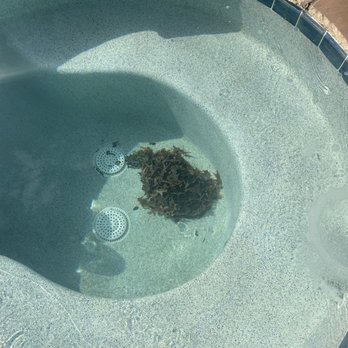 Integrity Pools - This is what pool service looks like after they finish a service - Pool Cleaners Near Me - Richardson, Texas