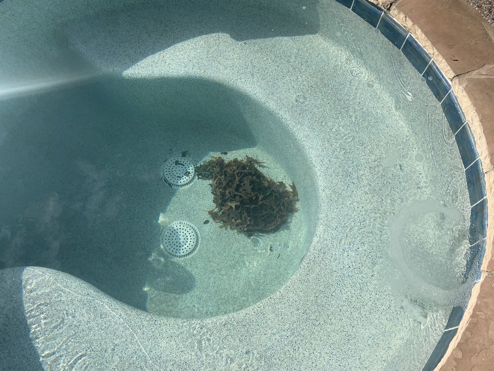 Integrity Pools - This is what pool service looks like after they finish a service - Pool Cleaners Near Me - Richardson, Texas Integrity Pools - This is what pool service looks like after they finish a service - Pool Cleaners Near Me - Richardson, Texas
