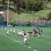 Witter Rugby Field gift card