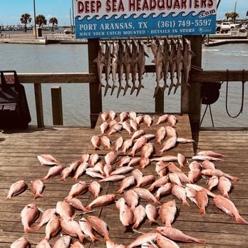 Deep Sea Headquarters - Snapper and Sharks! - Boat Charters Near Me - Port Aransas, Texas Deep Sea Headquarters - Snapper and Sharks! - Boat Charters Near Me - Port Aransas, Texas