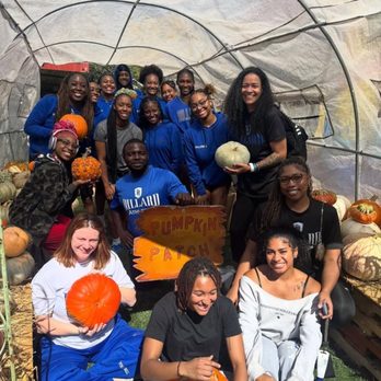 Three Chicks Feed, Seed & Cafe - Dillard University Volleyball - Cafes Near Me - Texarkana, Arkansas Three Chicks Feed, Seed & Cafe - Dillard University Volleyball - Cafes Near Me - Texarkana, Arkansas