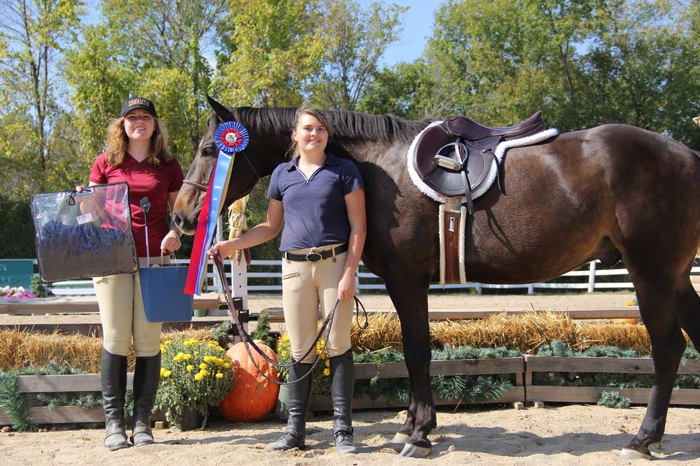 IronWorks Training - equestrian in West Bend, WI