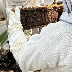 Two Hives Honey