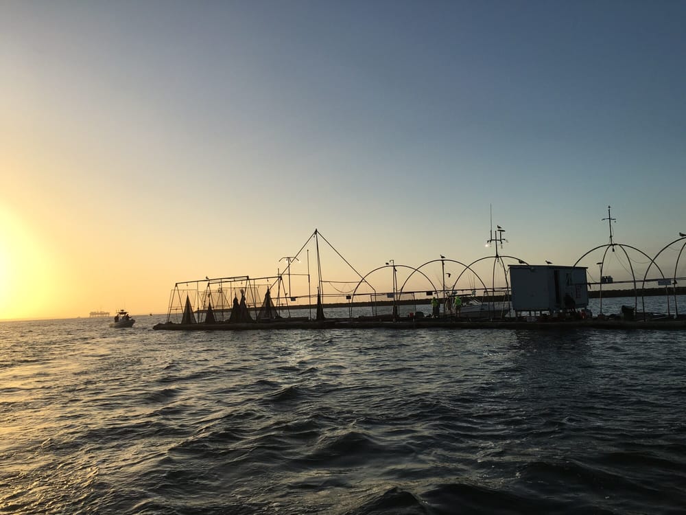 LONG BEACH BAIT CO. Updated October 2024 Long Beach, California