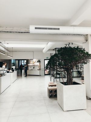 MAZELAB Tasting Studio by null