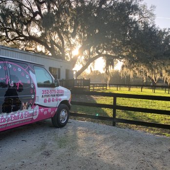 Miss Kate's Bed & Biscuit - Dog play area - amazing outdoor space for the puppets! - Pet Sitting Near Me - Oxford, Florida