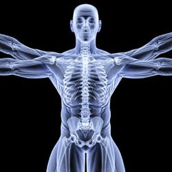 Akin Chiropractic