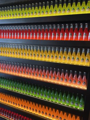 Casa Calaveras by null