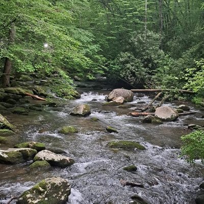 Fall Creek Falls by null