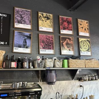 The Nile Coffee Shop - Coffee & Tea Near Me - Mesa, Arizona The Nile Coffee Shop - Coffee & Tea Near Me - Mesa, Arizona