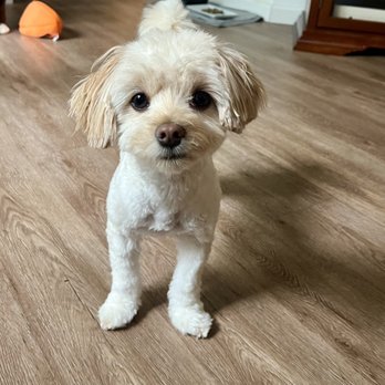 Pet Supplies Plus Federal Way - Pet Groomers Near Me - Federal Way, Washington
