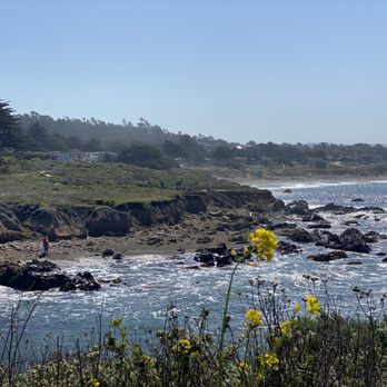 Moonstone Beach - Beaches Near Me - Cambria, California