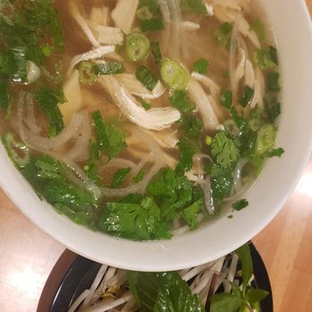 Cilantro Noodle - Pho Ga - Vietnamese Near Me - Charlotte, North Carolina Cilantro Noodle - Pho Ga - Vietnamese Near Me - Charlotte, North Carolina