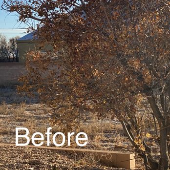 Aaa Lujan Landscaping - before and after photos - Landscaping Near Me