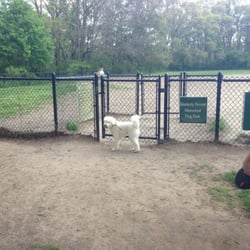 Haines Dog Park