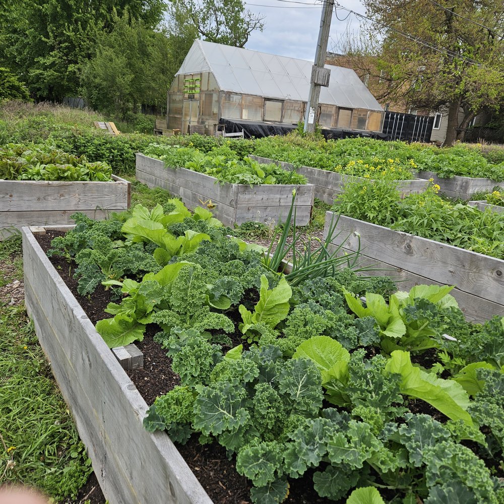 Sweetwater Foundation Farm - Farmers Market Near Me - Chicago, Illinois Sweetwater Foundation Farm - Farmers Market Near Me - Chicago, Illinois
