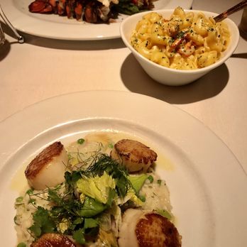 Ocean Prime - Seared scallops, lobster tails, lobster Mac and cheese - Seafood Near Me - Washington, DC, District of Columbia Ocean Prime - Seared scallops, lobster tails, lobster Mac and cheese - Seafood Near Me - Washington, DC, District of Columbia