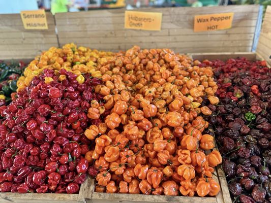 State Farmers Market by null