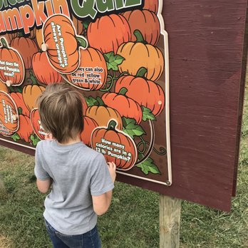 Carter Mountain Orchard - Pumpkin info - Pick Your Own Farms Near Me - Charlottesville, Virginia