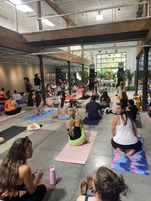 Miami Ironside by null