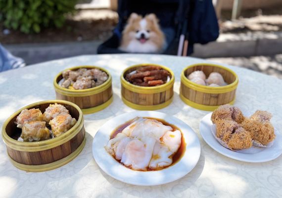New Port Dim Sum and Chinese Food by null