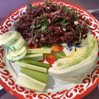 Wild Orchid - Laab Essan Raw - Chinese Near Me - Maplewood, Minnesota