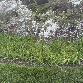 Sherwood Gardens - Parks Near Me - Baltimore, Maryland