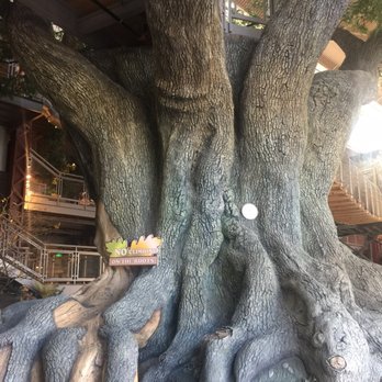 Outdoor Adventure Center - Playscape shaped like a big tree - Planetarium Near Me - Detroit, Michigan Outdoor Adventure Center - Playscape shaped like a big tree - Planetarium Near Me - Detroit, Michigan