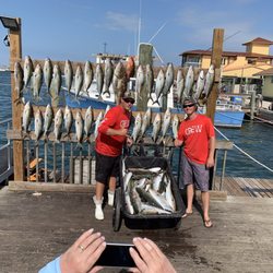 Our catch