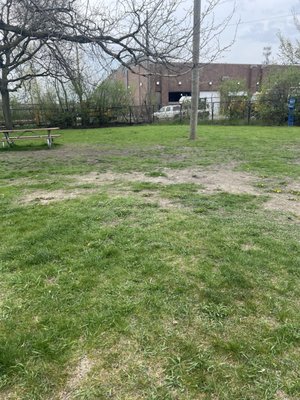 Detroit Dog Park by null