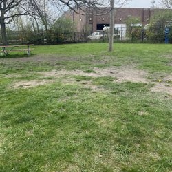 Detroit Dog Park - The park.. natural grass.