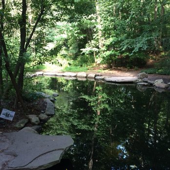 Briar Bush Nature Center - Pond. Briar Bush Nature Center. Aug 18. - Museums Near Me - Abington, Pennsylvania Briar Bush Nature Center - Pond. Briar Bush Nature Center. Aug 18. - Museums Near Me - Abington, Pennsylvania