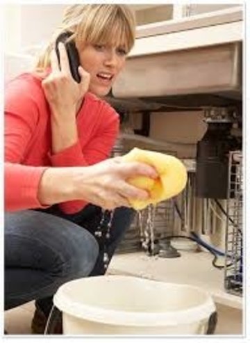 Slide of Five Guys Plumbing Naperville